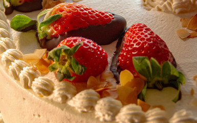 Fototapeta premium Erdbeer Torten backen vom Bäcker in der Backstube mit viel Sahne Bäckerei Konditor Handwerk nachhaltig bio Frühling Sommer Bake strawberry tarts from the baker in the bakery with lots of cream