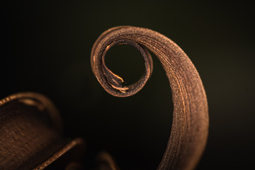 Swirls of dried banana peel macro