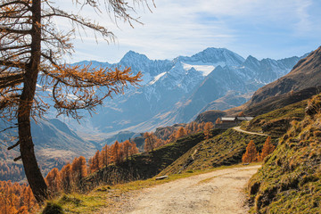 Idyllic autumn mountain landscape with alp and peaks Hochfirst and Granatenkogel at end of...