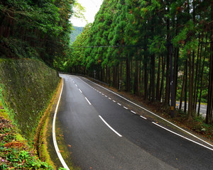 Fototapeta na wymiar Highway to Nachi Katsuura Town in Wakayama, Japan.UNESCO World Heritage, Sacred Sites and Pilgrimage Routes in the Kii Mountain Range