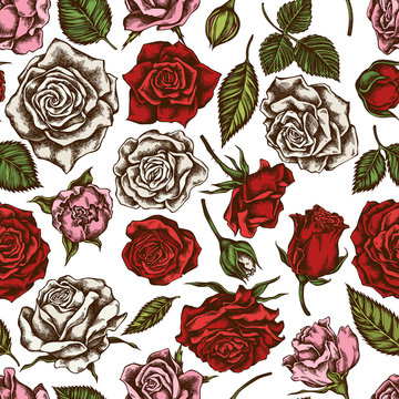 Seamless pattern with hand drawn colored roses