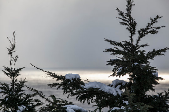 snow 