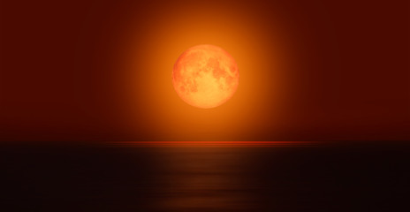 Night view of Nature scenic, the moon rises in the background. 