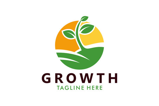 growth seed logo icon vector isolated