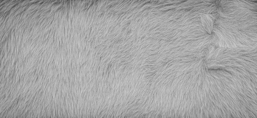 Texture of grey fake fur