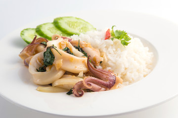 Stir Fried Basil with Squid Rice