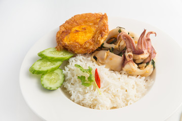 Stir Fried Basil with Squid and Fried Egg on Rice