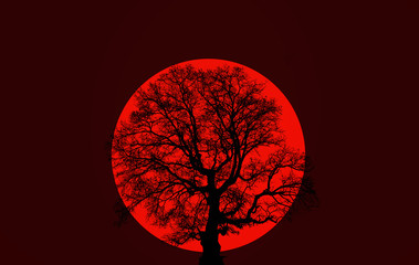 Dead tree with big bloody red moon- Lunar eclipse 