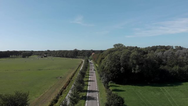 Aerial view of a clean asphalt country road in The Netherlands with a row of trees besides creating a corridor lane against a blue sky