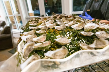 fresh raw oyster bar at an event party