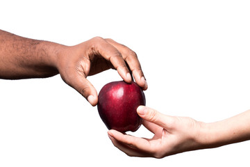 white hand gives apple to African hand
