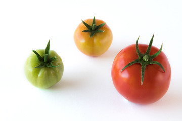tomato growing up showing progress with leafs set isolated on white background. Health Concept