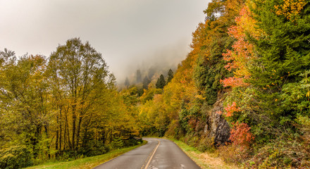 early morning autumn foggy photo at blue ridge parkway north carolina