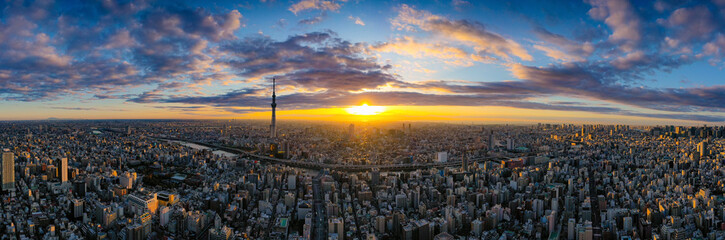 Tokyo Cityscape met Tokyo Sky Tree zichtbaar in de stad Tokyo, Japan.