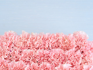 Pink carnation flower frame background