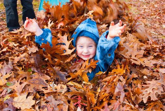 A happy Litle girl enjoying an autumn pile of raked leaves outside