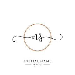 Initial Letter NS Signature Handwriting and Elegant Logo Design Vector