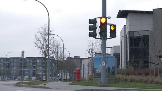 Traffic light on red in residential intersection with a black car passing across the frame (slow motion)