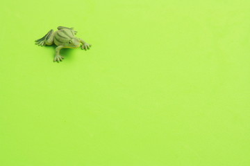 frog shaped rubber toy in color background