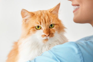 Female veterinarian with cute cat on white background, closeup