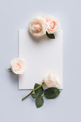Obraz na płótnie Canvas White or tea roses flat lay with blanck
