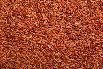 Heap of raw rice as background