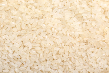 Heap of raw rice as background