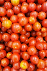 tomatoes on a black background