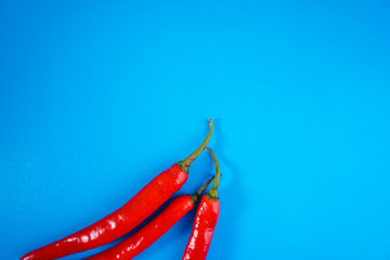 A close up of red hot chili pepper over blue background.