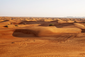 Fototapeta na wymiar Sand dunes in the desert at sunset in Dubai
