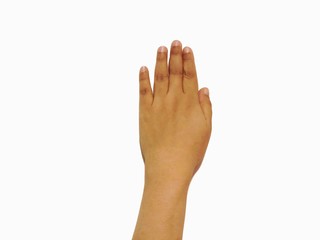 Obraz premium hand isolated on white background