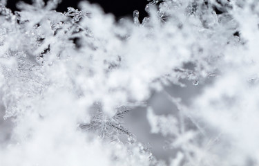  winter card, crystals of snow, winter photo