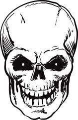 Sketch Skull on white background.