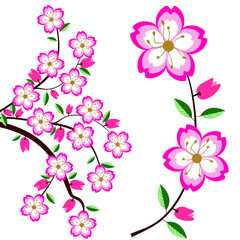 Sakura for your design. Vector  EPS 10