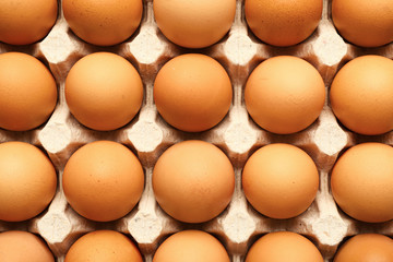Fresh eggs in package, top view