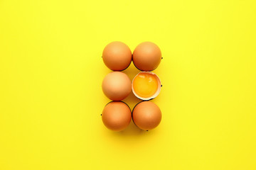 Holder with fresh eggs on color background