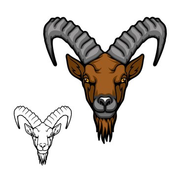 Mountain goat or ibex animal vector icon. Head of Alpine or Siberian tur with curved ridged horns, brown beard and fur, wild mammal of hunting sport club mascot and symbol design