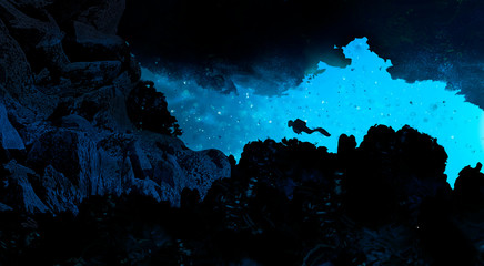 The depths of the sun through the water, the underwater world, the sea floor. Marine underwater...