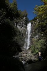 Fototapeta na wymiar Maral Waterfall. The waterfall falls from a single incline, 63 m above sea level. Borcka, Macahel, Artvin, Turkey.