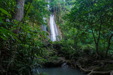 Limestone waterfall in a green forest