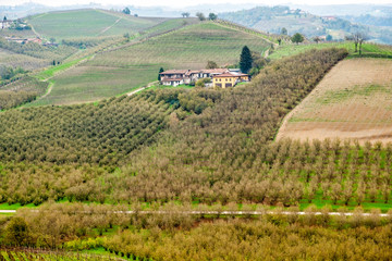 View of the world famous Barolo vineyards, in the hilly Region of Langhe (Piedmont, Northern Italy)...