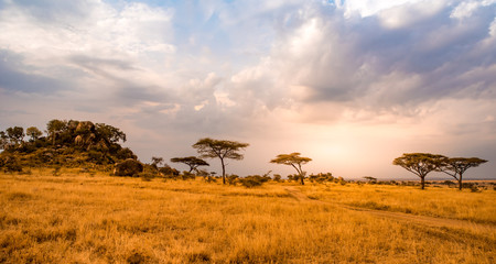 Obraz na płótnie Canvas Game drive on dirt road with Safari car in Serengeti National Park in beautiful landscape scenery, Tanzania, Africa