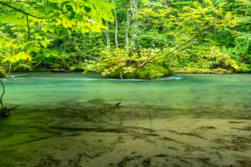 Obraz premium Oirase Stream in Aomori Prefecture