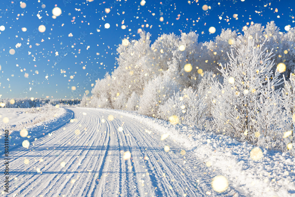 Wall mural winter landscape with road and forest