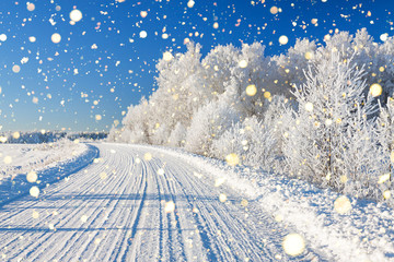 winter landscape with road and forest