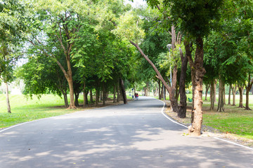 Roads and trees in a natural park for relaxing at Bangkok Thailand