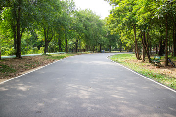 Roads and trees in a natural park for relaxing at Bangkok Thailand