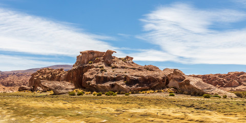 Fototapeta na wymiar Eroded rocks at laguna negra in Bolivia