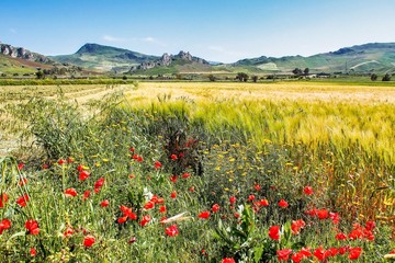 Landscape view near of Caltanissetta, Sicily, Italy, Europe
