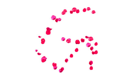 Rose Petal Alphabet with white background